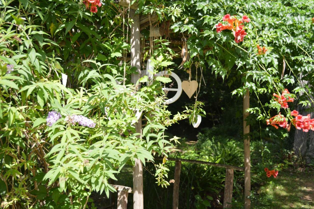 Hotel Le Relais Du Touron Carsac-Aillac Ngoại thất bức ảnh